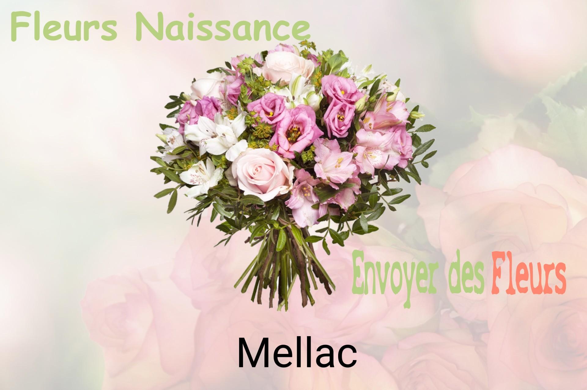Bouquet de fleurs de naissance livré à Mellac